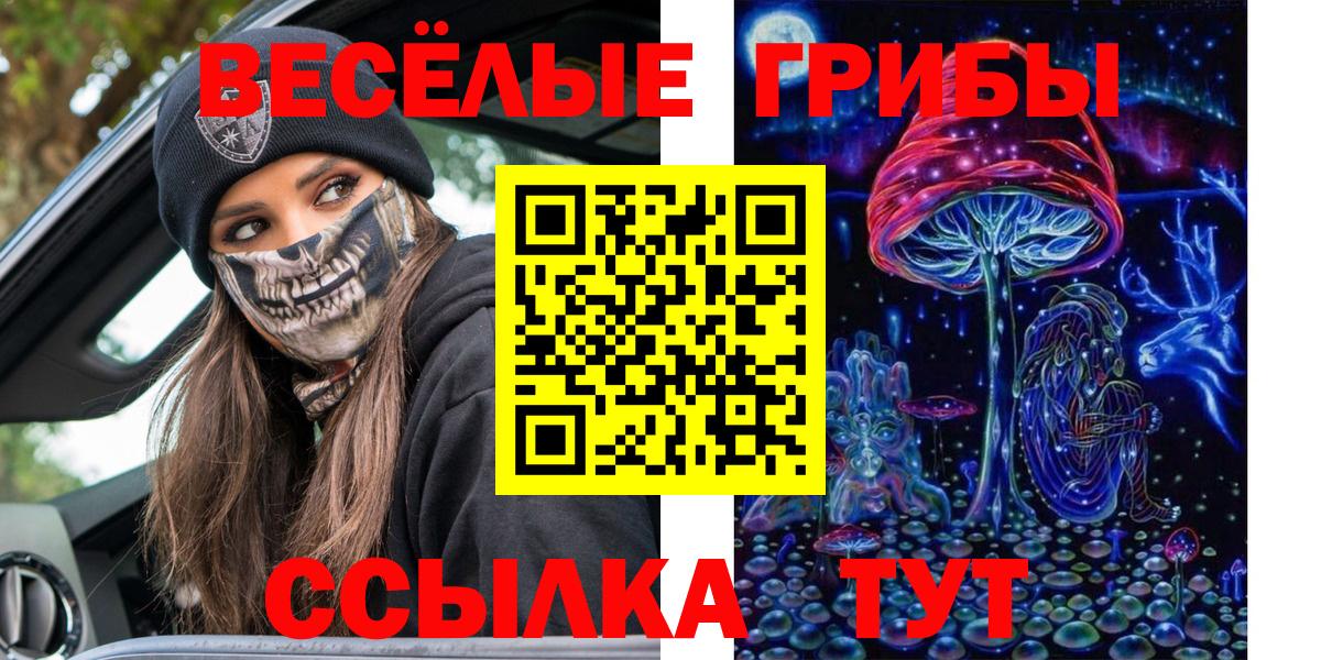 Галлюциногенные грибы Cubensis Холмск