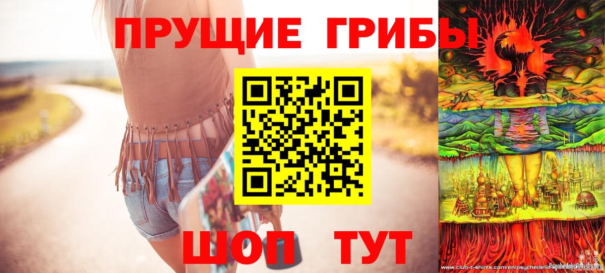 Холмск  Псилоцибиновые грибы Psilocybe  Псилоцибиновые грибы мицелий  Вход с VPN 
